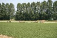 /album/menrit-04-06-2011/a06-04-2011-109-jpg/
